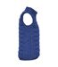 Roly Womens/Ladies Oslo Insulated Body Warmer (Electric Blue) - UTPF4308