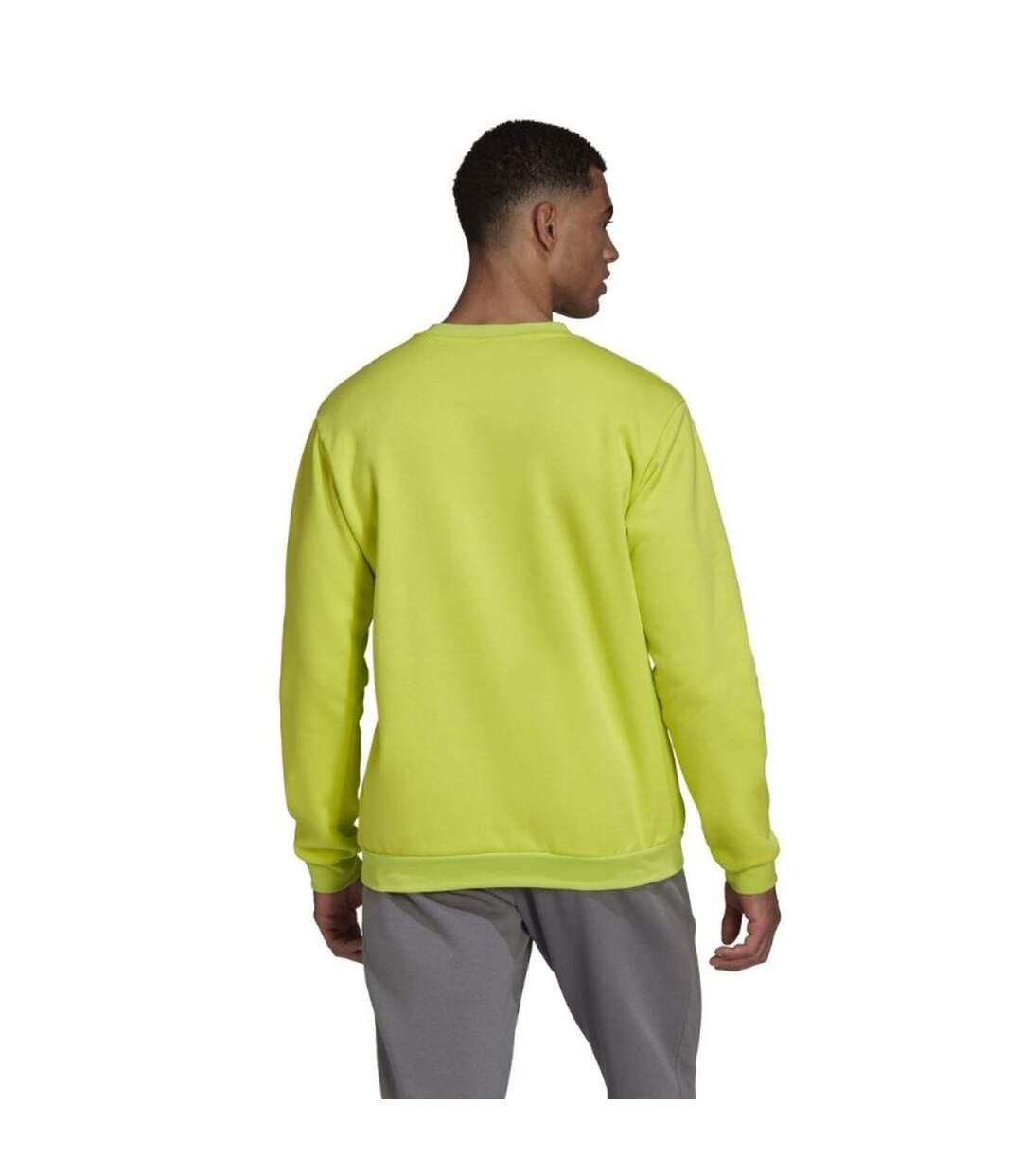 Sweat Entrada Homme Vert Adidas-4