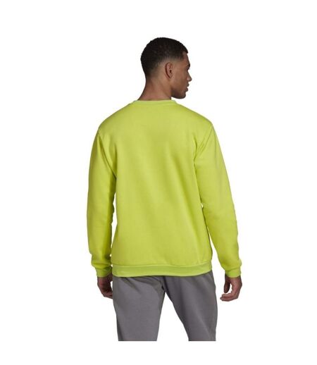 Sweat Entrada Homme Vert Adidas