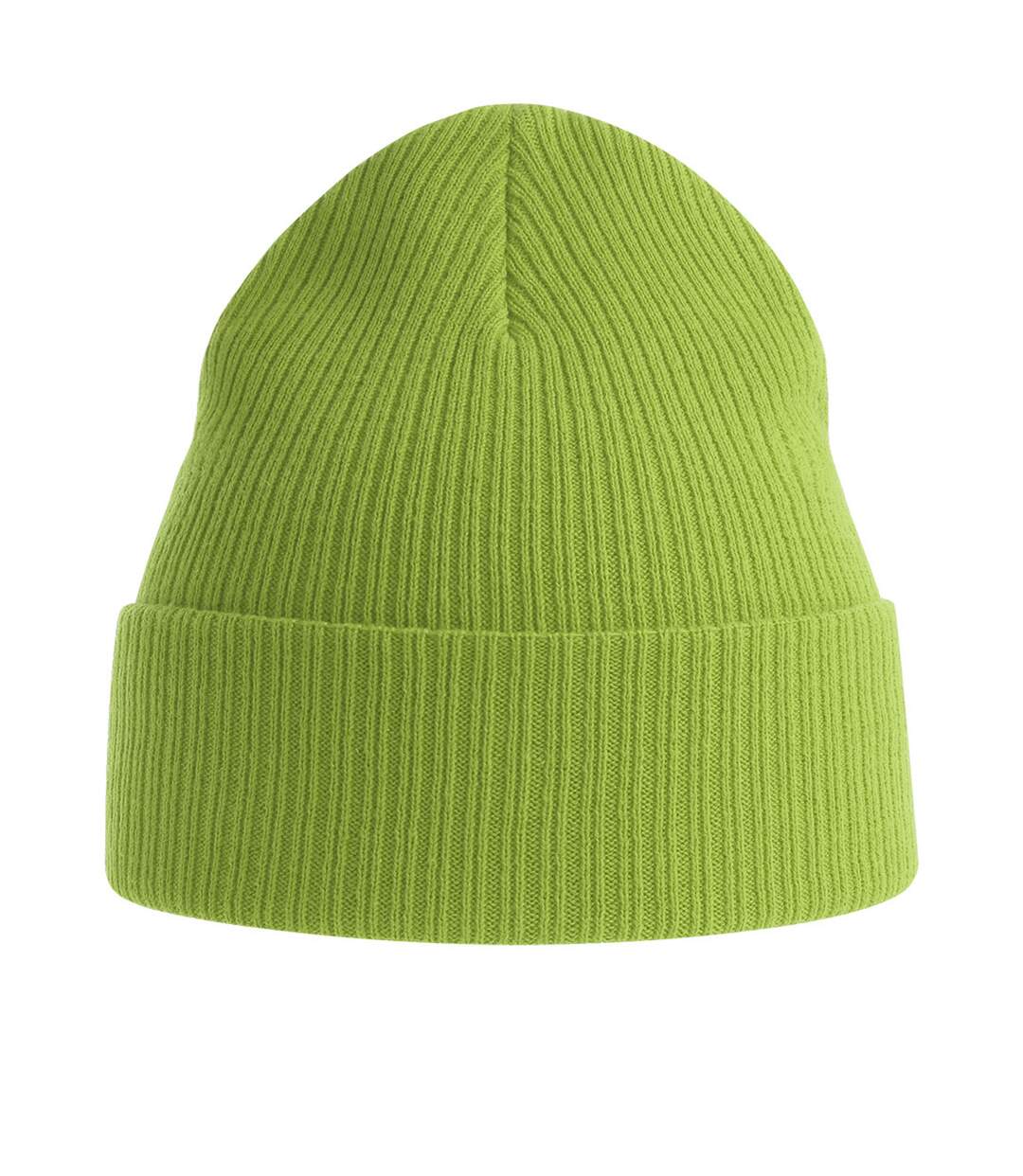 Unisex adult nelson ribbed organic cotton beanie leaf green Atlantis-2