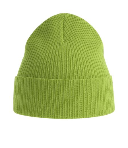 Bonnet nelson adulte vert de gris Atlantis