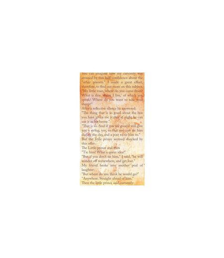 Papier Peint The Little Prince Message of Love 50x1000cm