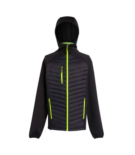 Doudoune Hybride Navigate Homme Noir Vert Citron Regatta