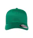 Casquette De Baseball Vert Flexfit-3