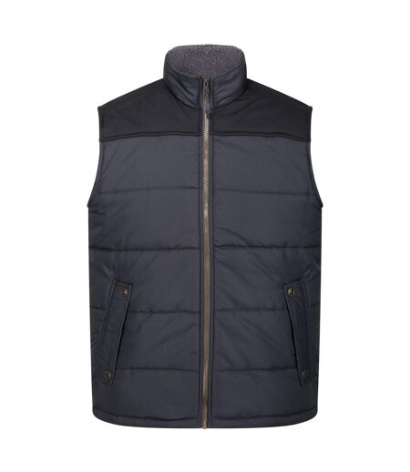 Veste Sans Manches Altoona Homme Gris Phoque Noir Regatta