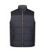 Veste Sans Manches Altoona Homme Gris Phoque Noir Regatta-1