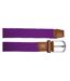 Asquith & Fox Mens Woven Braid Stretch Belt (Purple) - UTRW4913-2