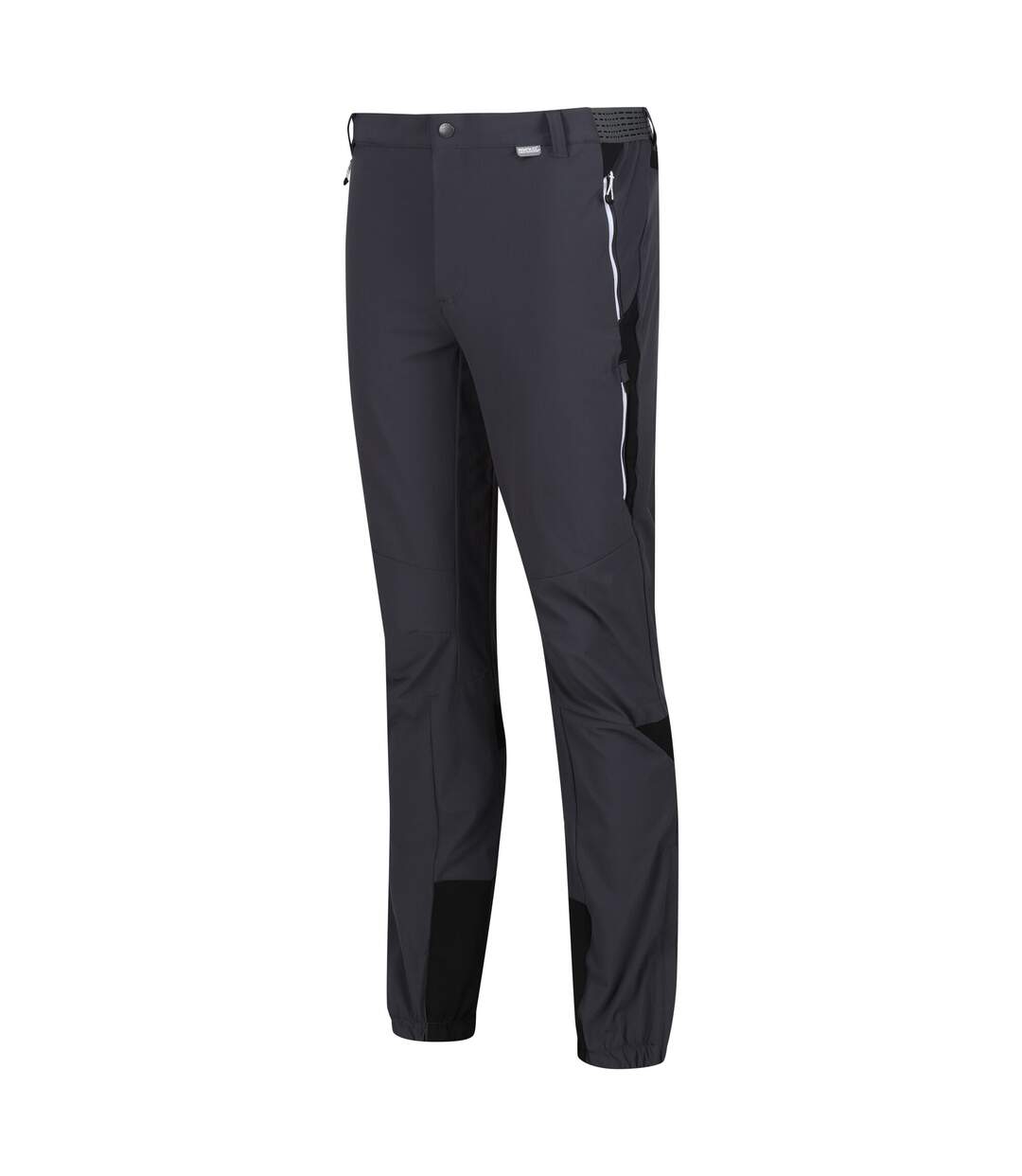 Pantalon de randonnée mountain homme gris phoque / noir Regatta