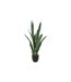 Plante Artificielle Sansevieria Toby 90cm Vert-1