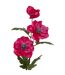 Fleur Artificielle 3 Anémones 69cm Rose Fuchsia-2