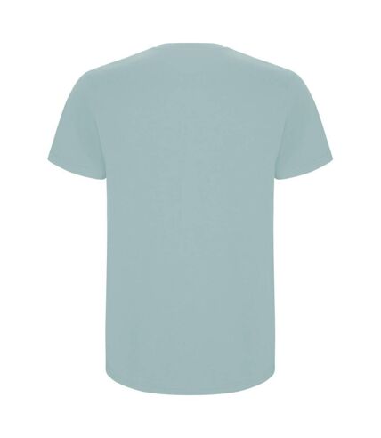 Roly Mens Stafford T-Shirt (Washed Blue) - UTPF4347