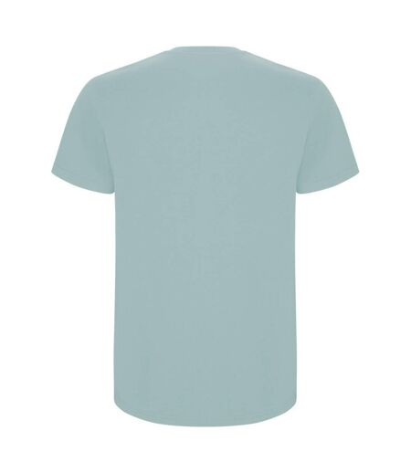 Roly Mens Stafford T-Shirt (Washed Blue) - UTPF4347