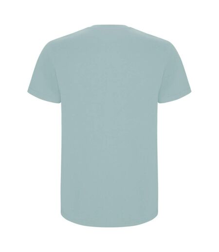 Mens stafford t-shirt washed blue Roly