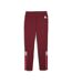 Milan AC Pantalon de survêtement Bordeaux Homme Puma 23/24 - L