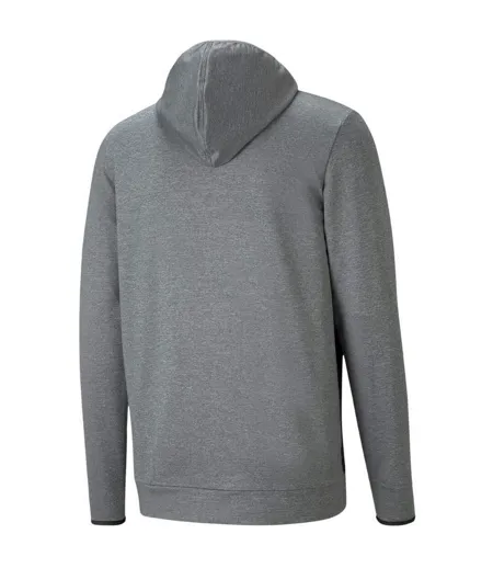Sweat À Capuche Rtg Homme Gris Argenté Puma