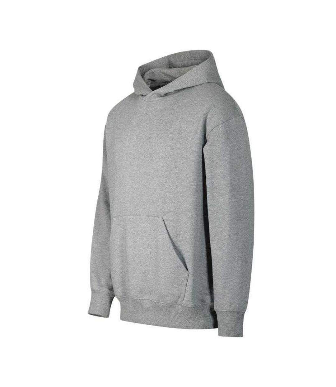 Sweat À Capuche Chill Homme Gris Malfini-4