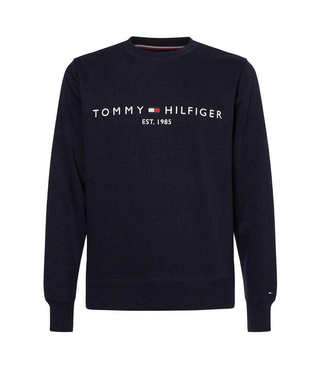Mens Established Crew Neck Regular Sweatshirt Sky Blue Tommy Hilfiger-1