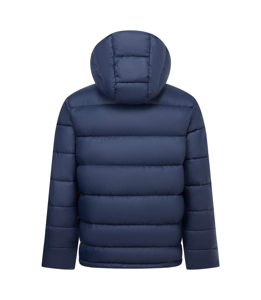 Doudoune Matelassée Unie À Capuche Munaro Homme Bleu Marine Regatta-3