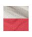 Unisex Adult Varsity Colour Block Nublend Hoodie Heather Oatmeal Fiery Red Heather Jerzees-2