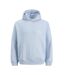 Sweat à capuche bleu homme jack & jones typo-1