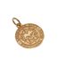 Leicester City FC Crest Pendant (Gold) (One Size) - UTTA7959