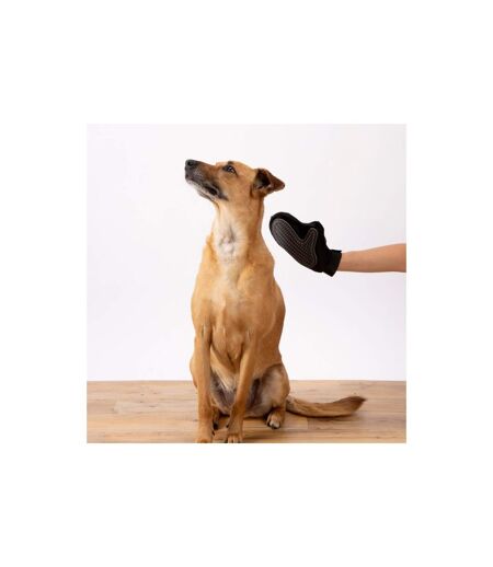 Gant de Brossage pour Chien & Chat 1 Face 24cm Noir