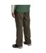 Pantalon Décontracté À Taille Haute Semi-élastiquée Kiwi Classic Homme Kaki Craghoppers-3