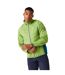 Mens Steren Ii Softshell Hybrid Jacket Piquant Green Moroccan Blue Citron Lime Regatta-1