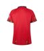 Mens 2025 British & Irish Lions Performance Polo Shirt Red Canterbury-3