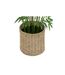 Bambou Artificiel en Pot Ly 150cm Vert