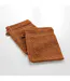 Lot de 2 Gants de Toilette Tendresse 15x21cm Caramel-2