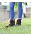 Bottes De Campagne Boyne Adulte Marron Dublin-3
