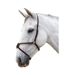 Hy - Muserolle croisée pour chevaux (Marron) (Grand cheval) - UTBZ379
