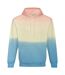 Awdis Unisex Adult Tie Dye Hoodie (Pastel Sunset Dip) - UTPC4780