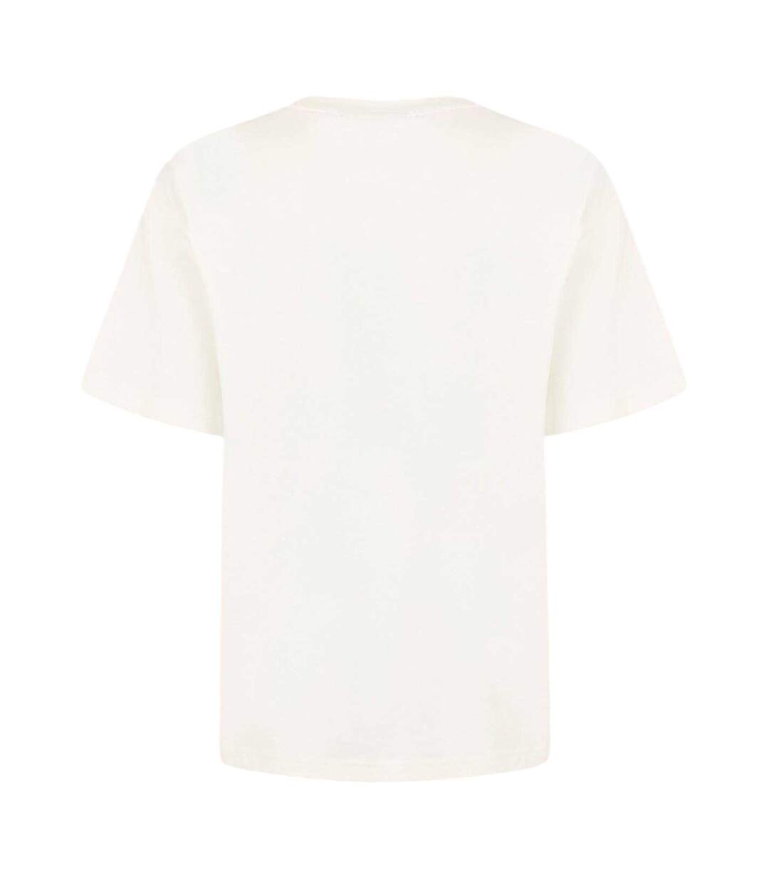Mens Regular T-shirt Heron White Napapijri-2