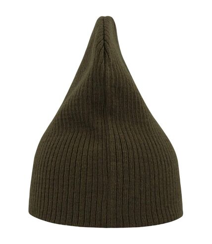 Atlantis Unisex Adult Brad Recycled Slouch Beanie (Olive) - UTAB609