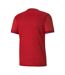 Maillot Teamgoal Homme Rouge Puma-2