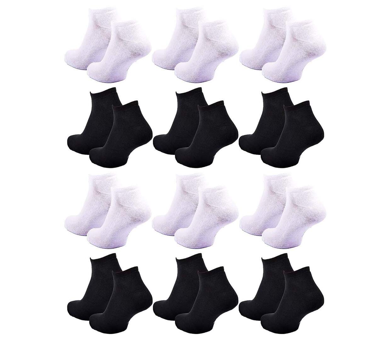 Chaussettes SERGIO TACCHINI SNEAKER 12 Pcs 60162 BOUCLETTE-3