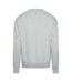 Sweat Homme Gris Replay-2