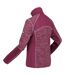 Regatta Womens/Ladies Lindalla IV Lightweight Fleece Jacket (Amaranth Haze) - UTRG7994