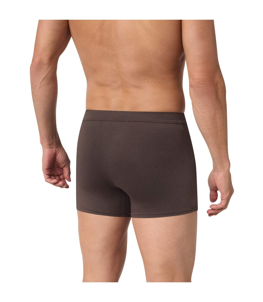Boxer Gentleman-2