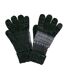 Regatta Womens/Ladies Frosty VII Winter Gloves (Storm Grey/Black) - UTRG9102