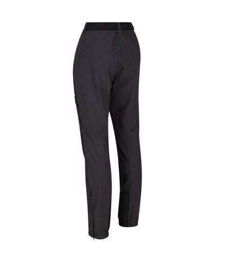 Regatta Womens/Ladies Mountain III Walking Pants (Ash/Black) - UTRG5953