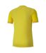 Maillot Teamgoal Homme Jaune Puma-2