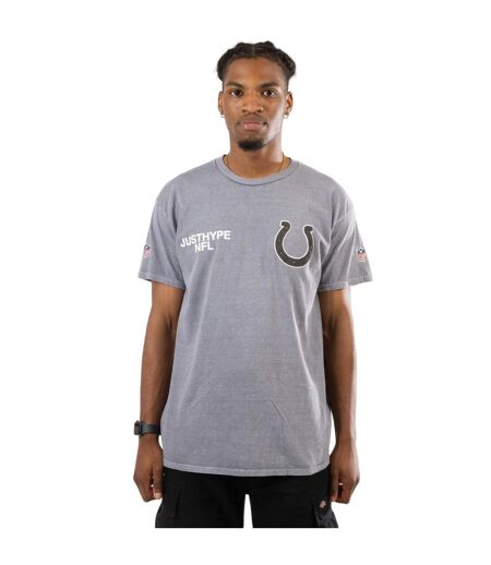 Hype Unisex Adult Indianapolis Colts NFL T-Shirt (Gray)
