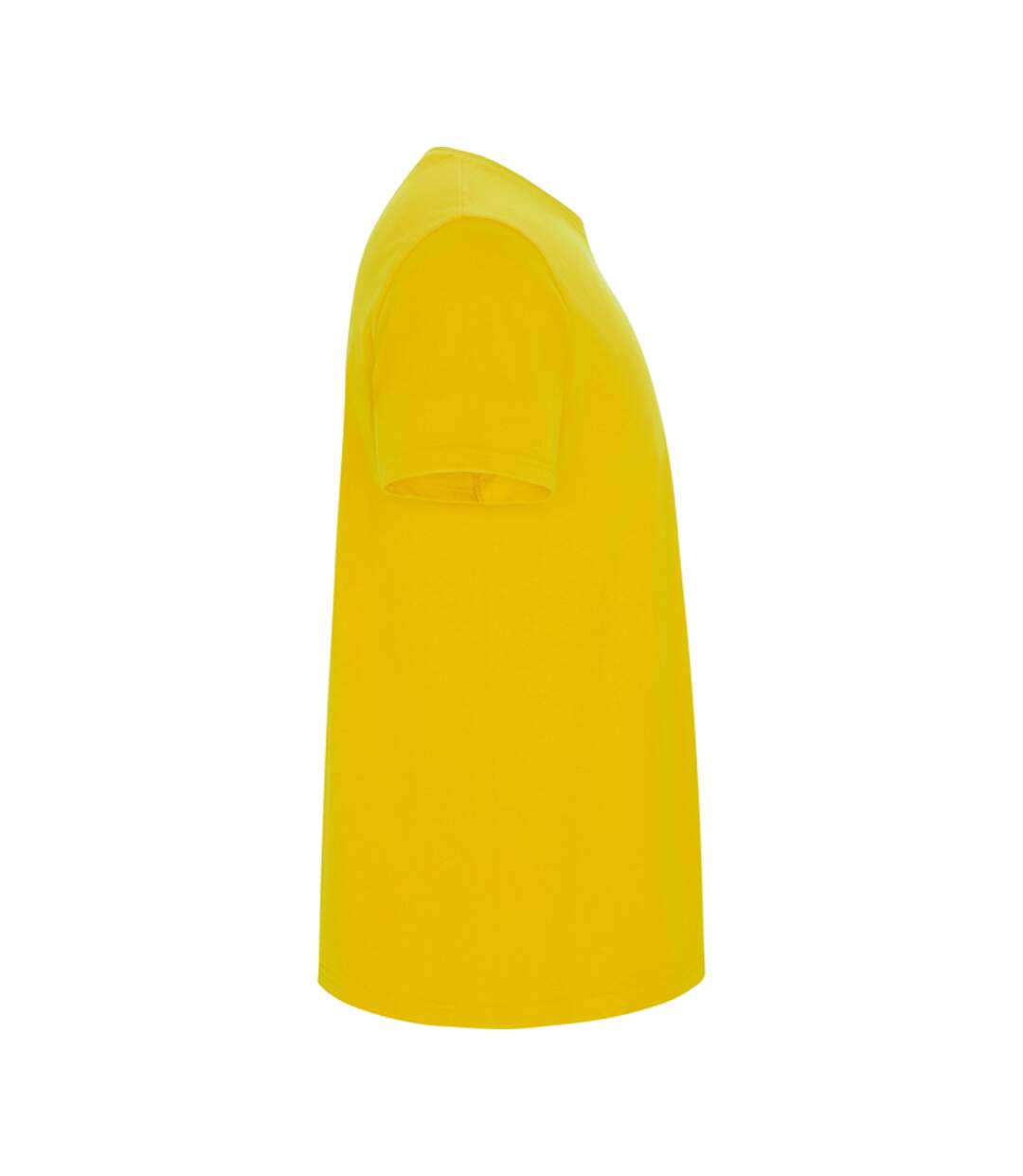 T-shirt Stafford Homme Jaune Roly-4