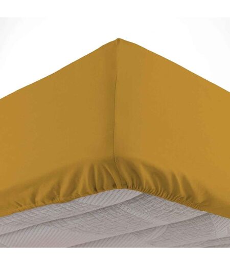 Drap Housse en Coton Biolina 160x200cm Ocre