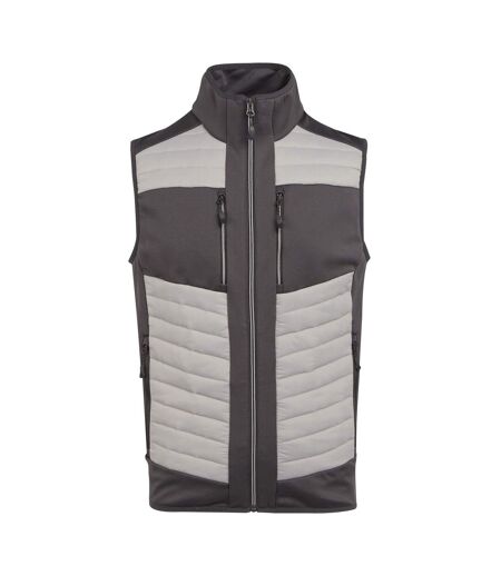 Veste Sans Manches E-volve Adulte Gris Cendre Regatta