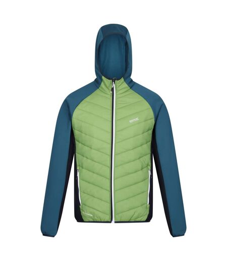 Veste hybride andreson homme vert piquant / bleu sarcelle foncé Regatta