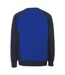 Mens Witten Unique Sweatshirt Royal Blue Dark Navy Mascot-2